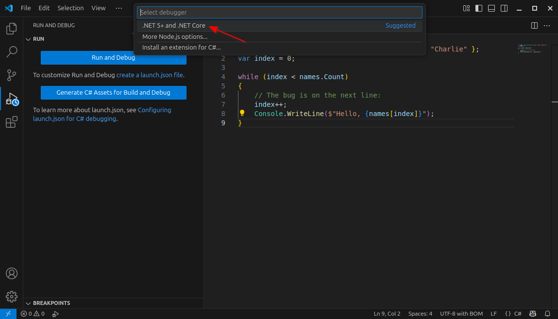 Screenshot displaying how to create a debug profile for .NET